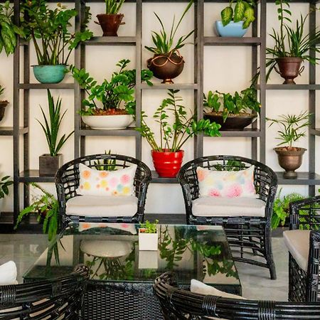 فندق بلاسيو موندو إمبريال أكابولكو المظهر الخارجي الصورة A balcony garden